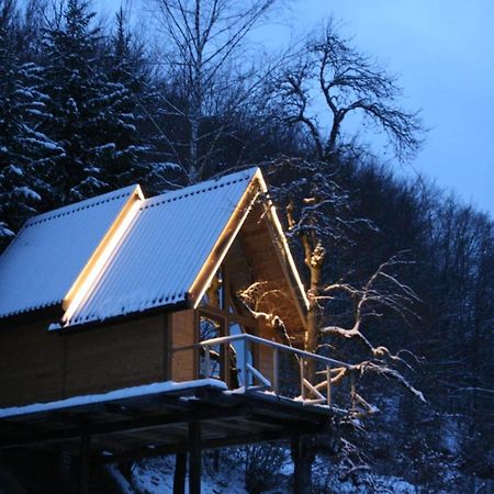 Tree House - Tara Place Мойковац Екстериор снимка