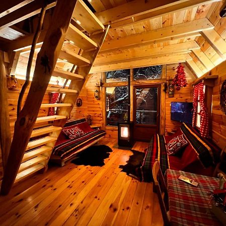 Tree House - Tara Place Мойковац Екстериор снимка
