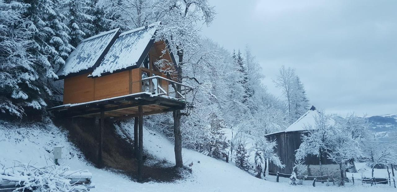 Tree House - Tara Place Мойковац Екстериор снимка