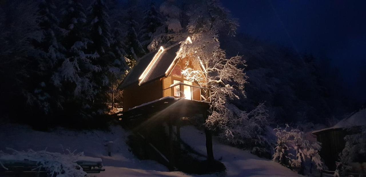 Tree House - Tara Place Мойковац Екстериор снимка