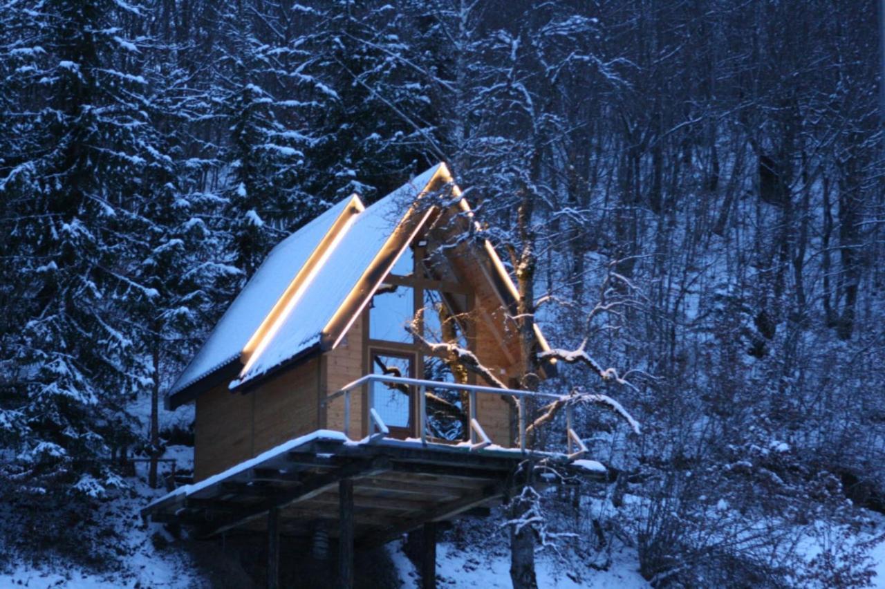 Tree House - Tara Place Мойковац Екстериор снимка