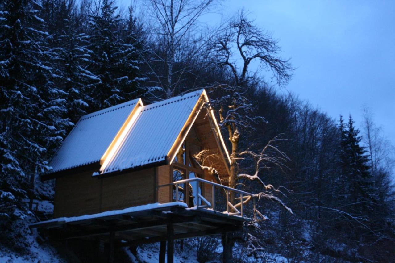 Tree House - Tara Place Мойковац Екстериор снимка