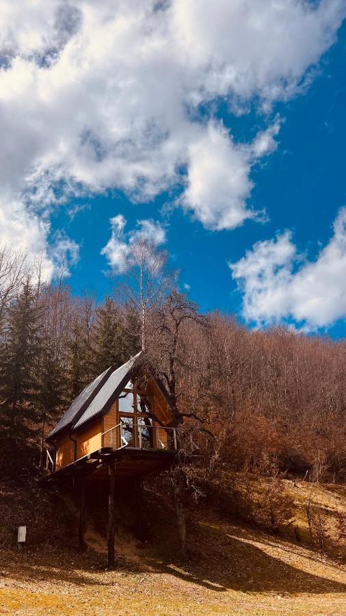 Tree House - Tara Place Мойковац Екстериор снимка