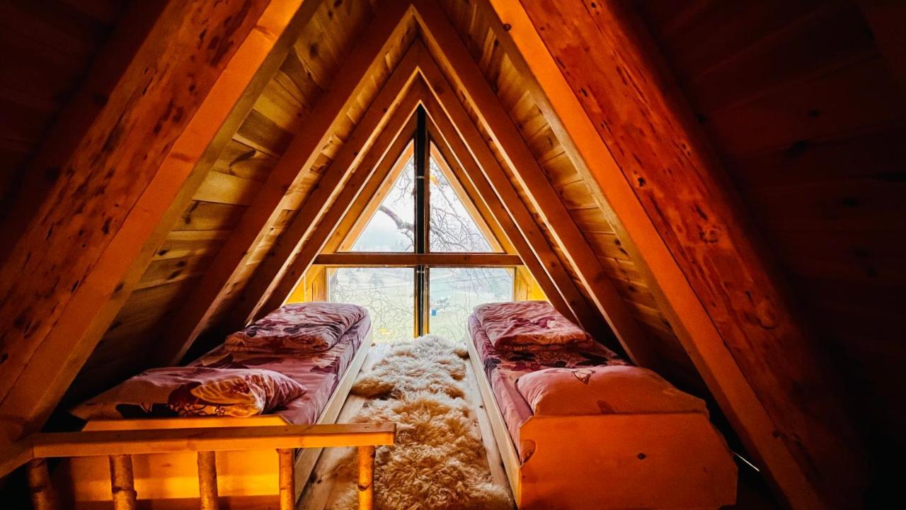 Tree House - Tara Place Мойковац Екстериор снимка