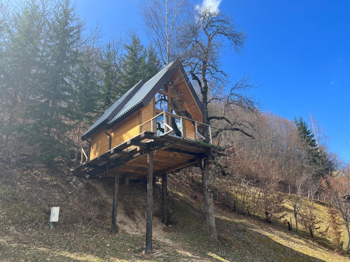 Tree House - Tara Place Мойковац Екстериор снимка