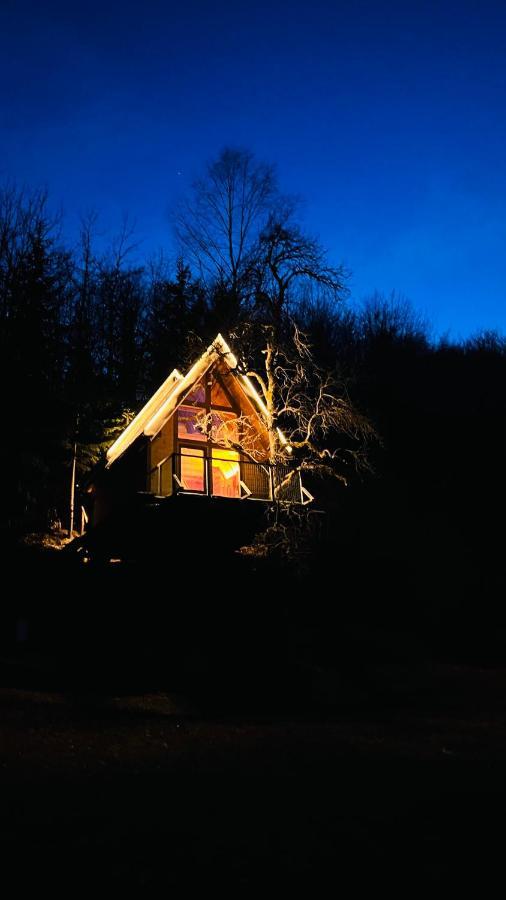 Tree House - Tara Place Мойковац Екстериор снимка