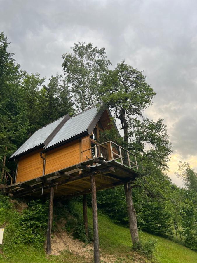 Tree House - Tara Place Мойковац Екстериор снимка