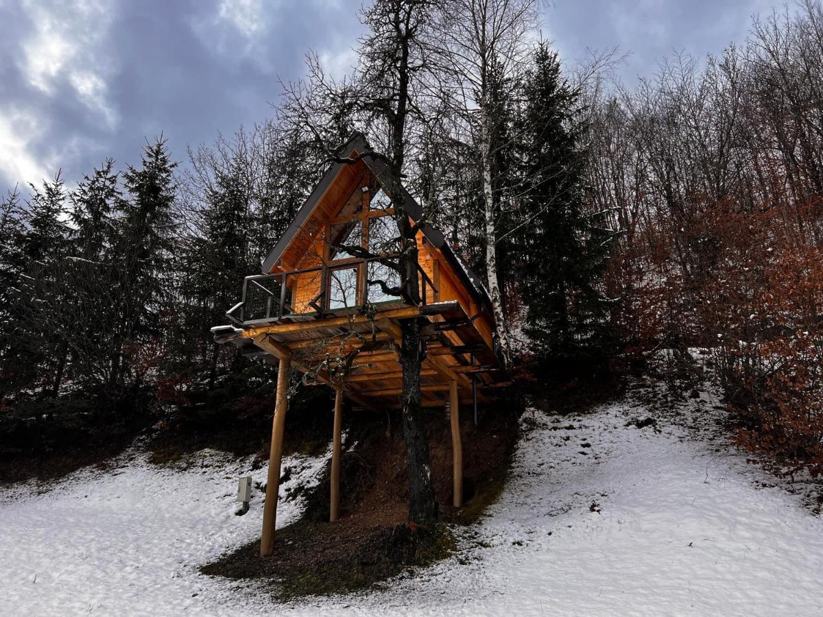 Tree House - Tara Place Мойковац Екстериор снимка