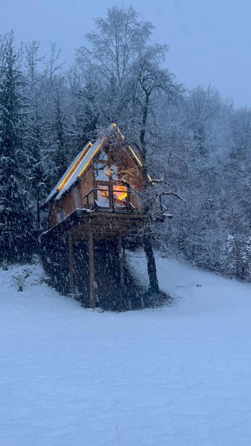 Tree House - Tara Place Мойковац Екстериор снимка