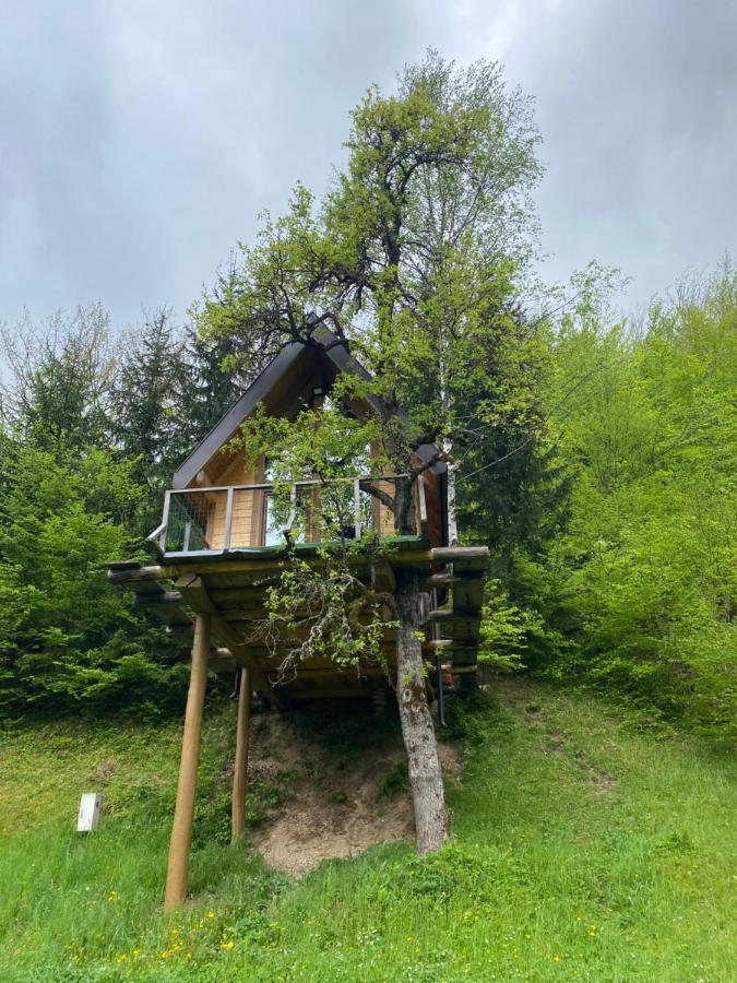 Tree House - Tara Place Мойковац Екстериор снимка