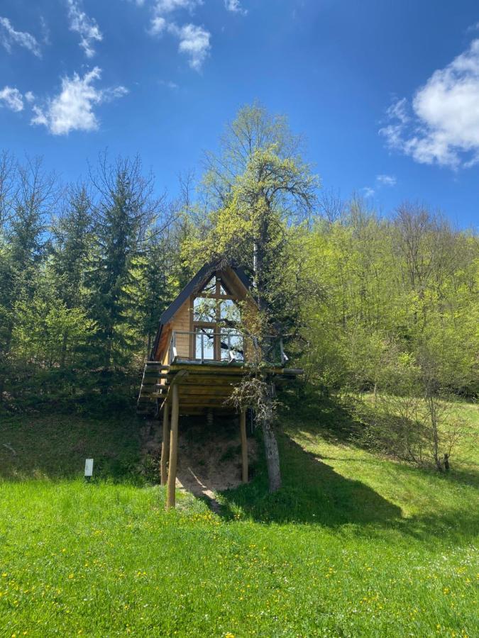 Tree House - Tara Place Мойковац Екстериор снимка