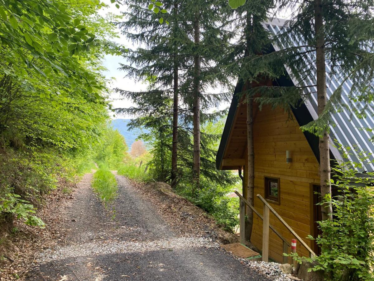 Tree House - Tara Place Мойковац Екстериор снимка